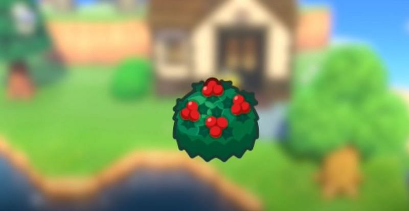 Holly Bushes will be visible in the Southern Hemisphere (Image via Animal Crossing world)